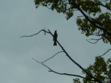 img0034.jpg
