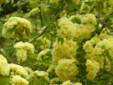 img0039.jpg