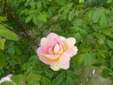 img0043.jpg