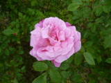 img0046.jpg