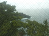 img0049.jpg