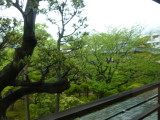 img0071.jpg