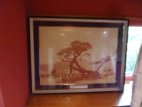 img0084.jpg