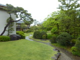 img0095.jpg