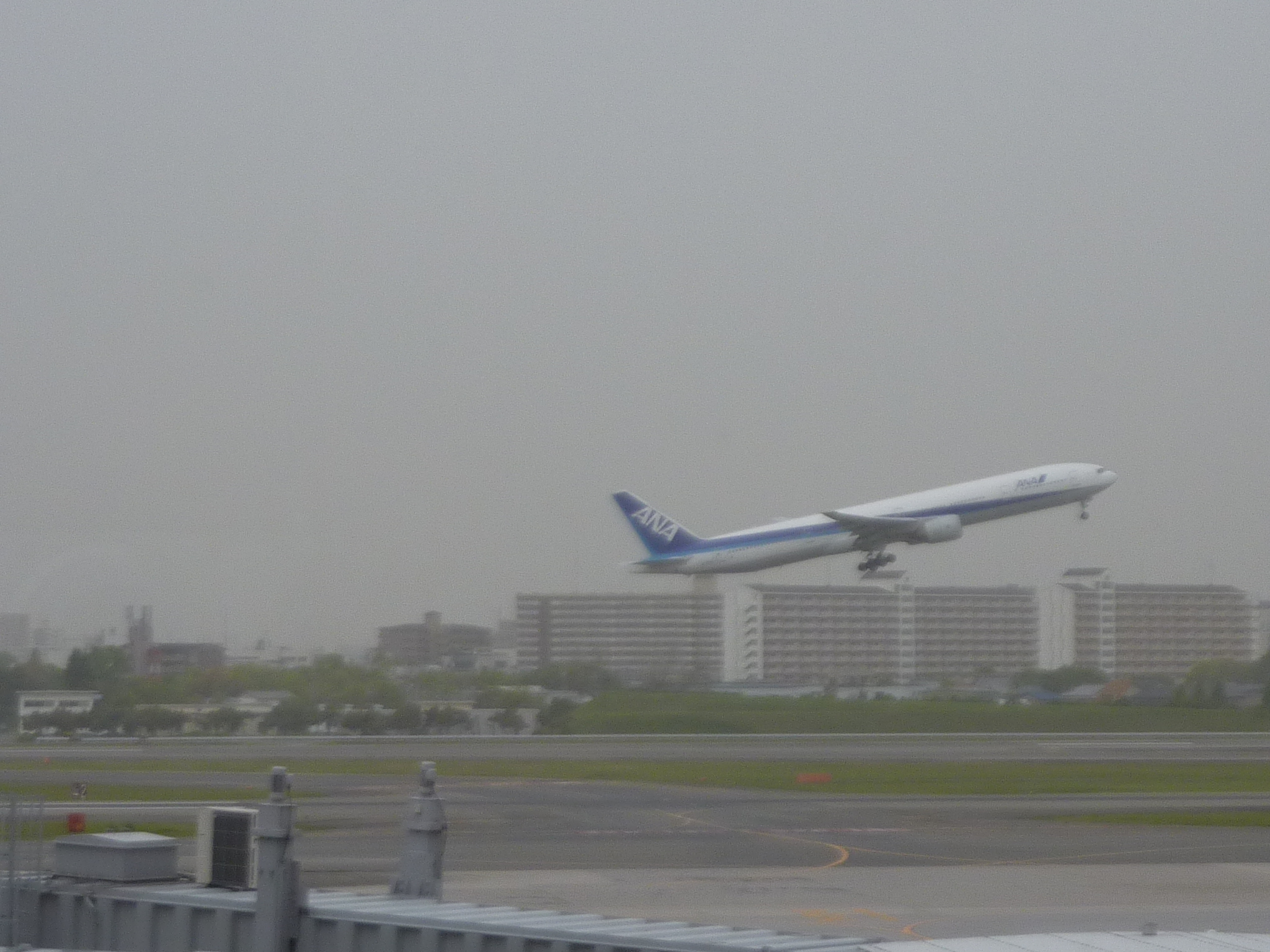 P1130270.JPG