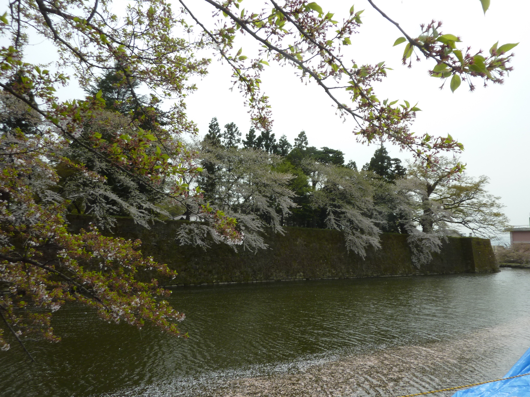 P1130299.JPG