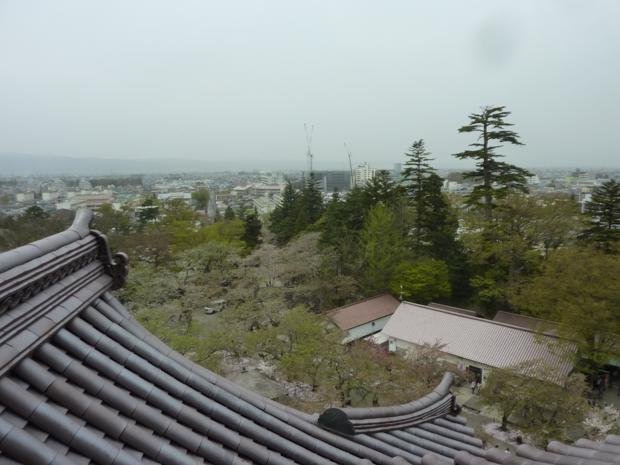 P1130313.JPG