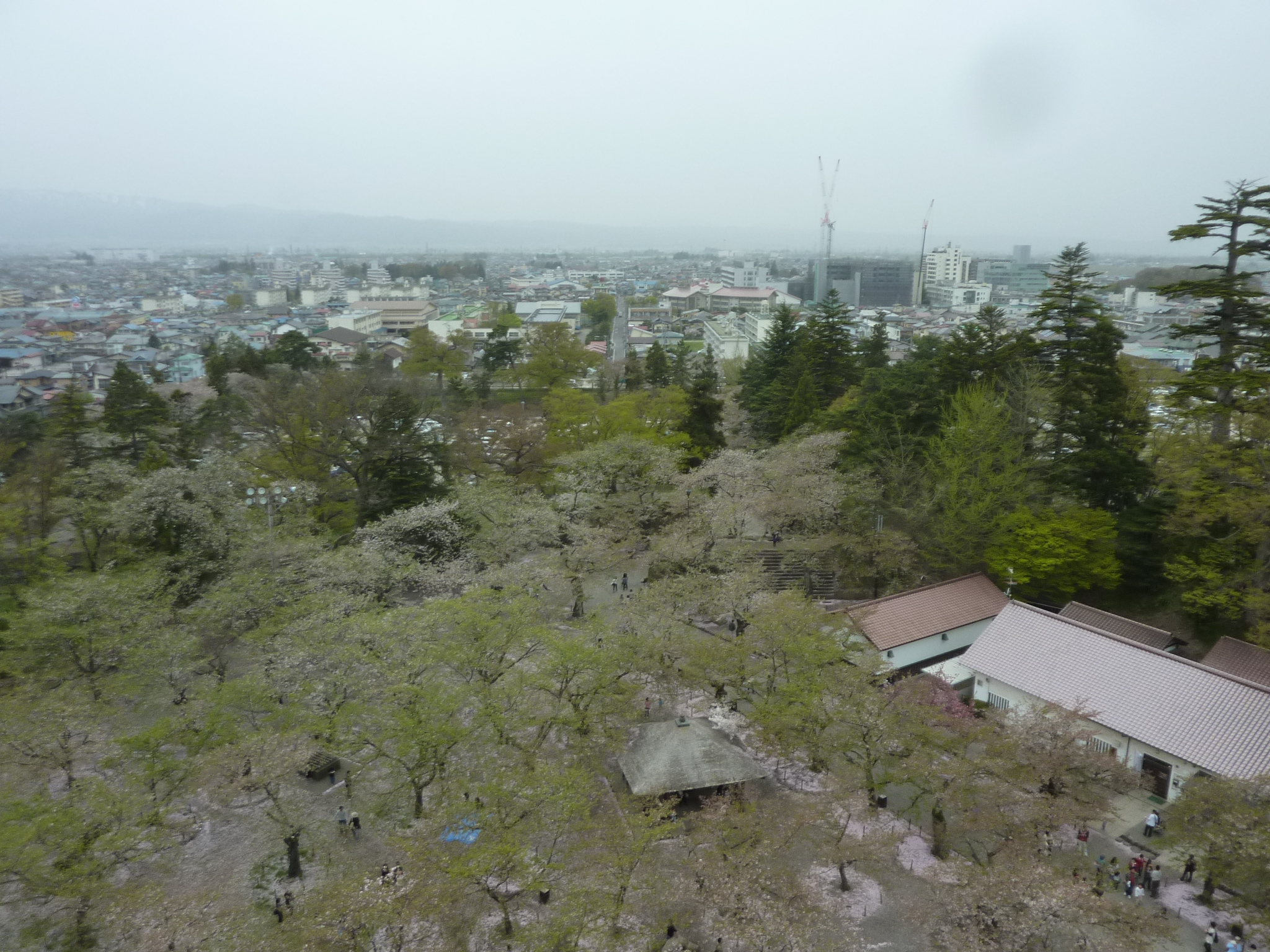 P1130314.JPG