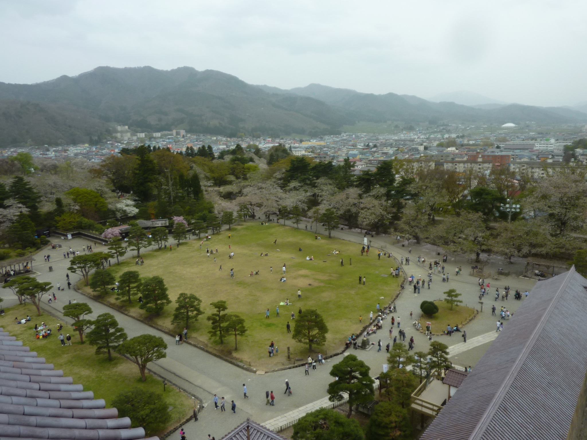 P1130321.JPG