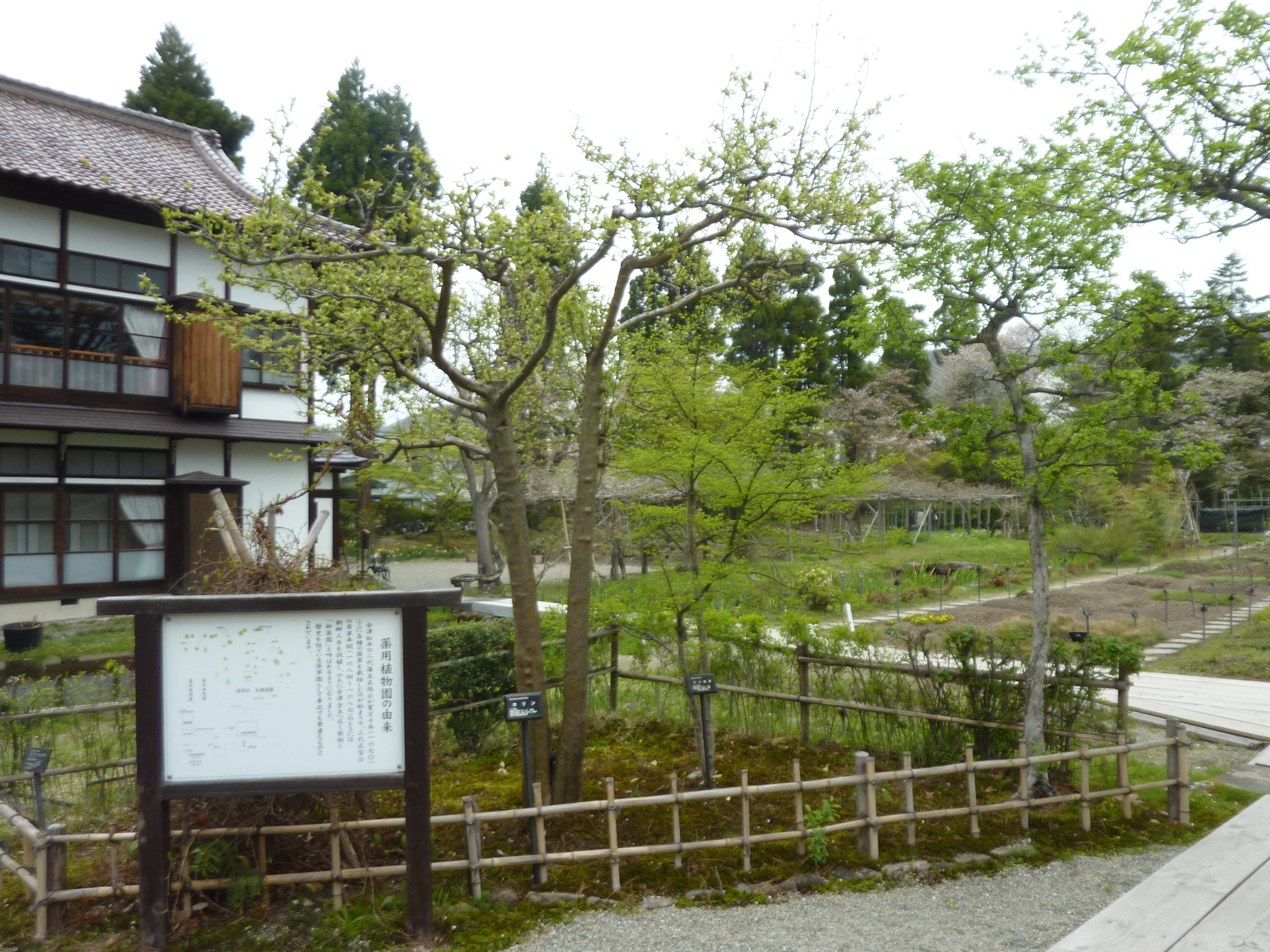P1130328.JPG