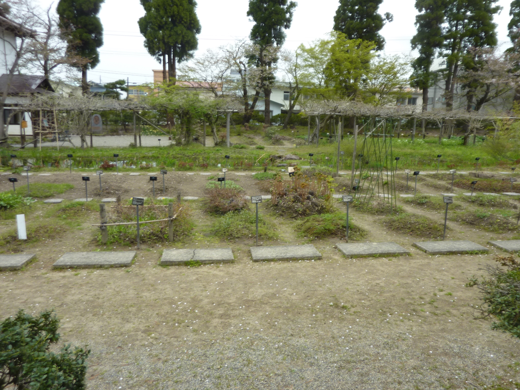 P1130330.JPG