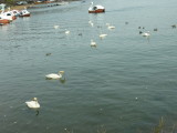 img0016.jpg