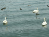 img0018.jpg