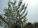 img0027.jpg