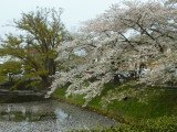 img0032.jpg