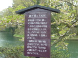 img0033.jpg