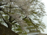 img0037.jpg