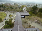 img0050.jpg
