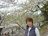 img0054.jpg