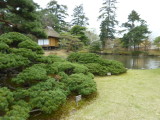 img0059.jpg