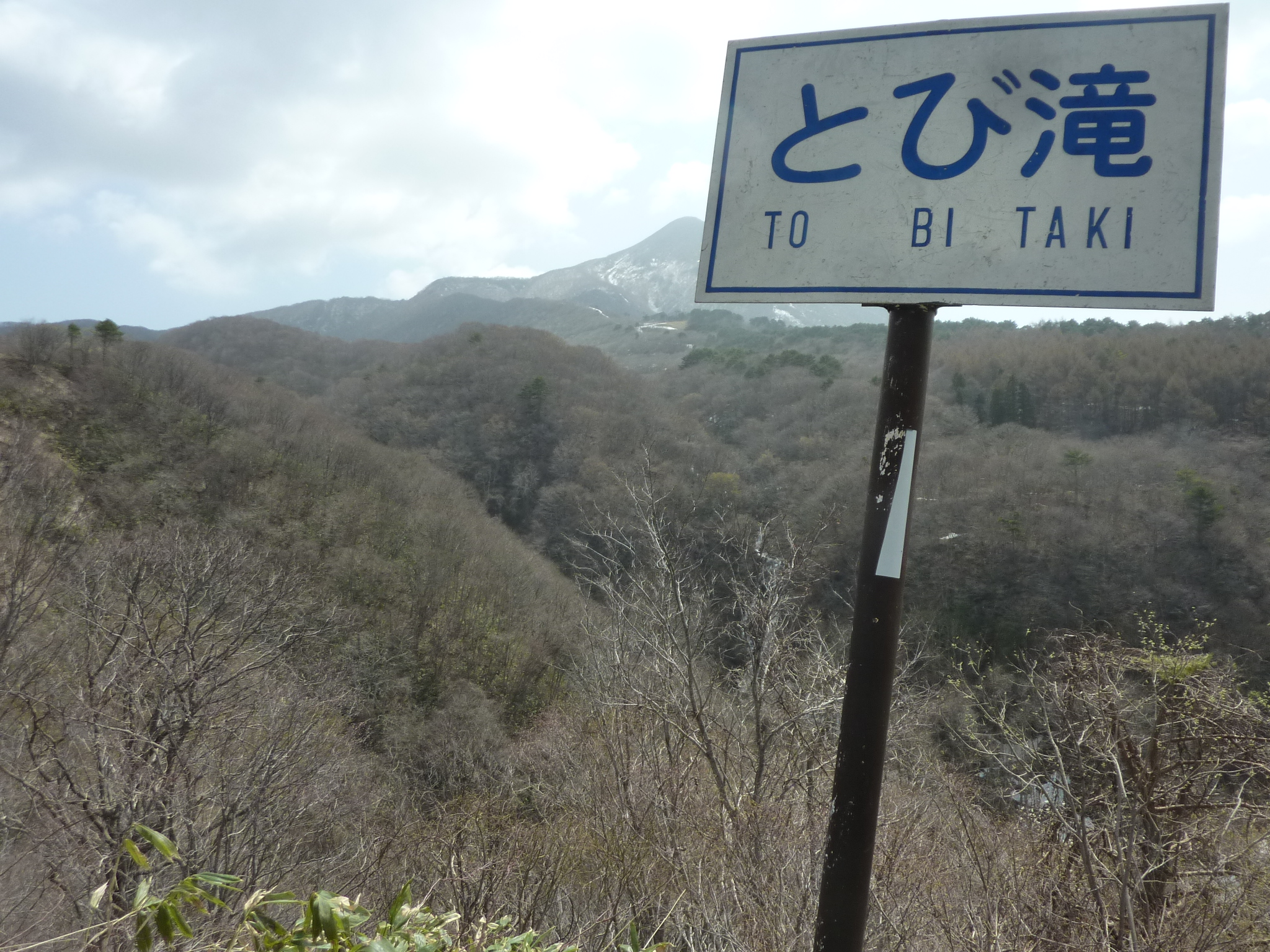 P1130421.JPG