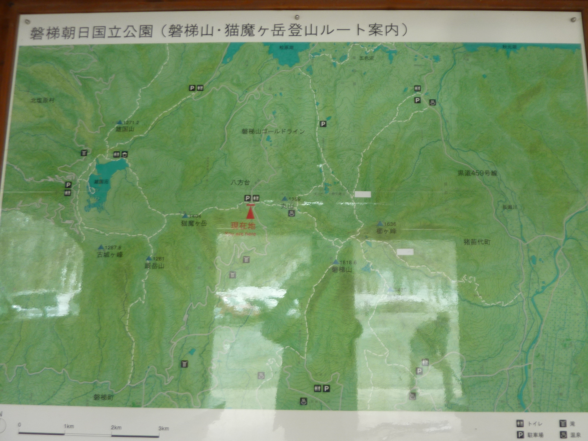 P1130430.JPG