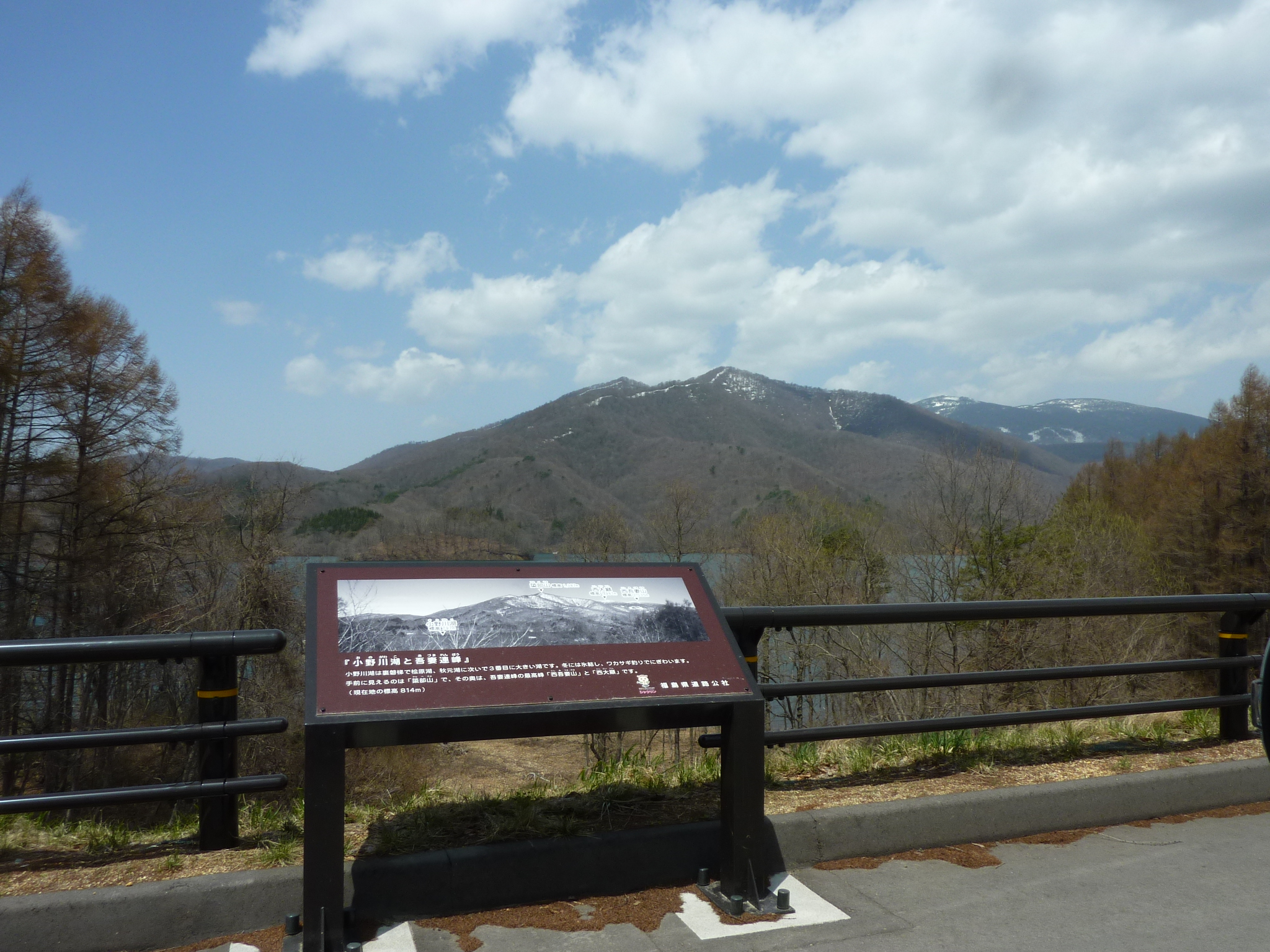 P1130484.JPG