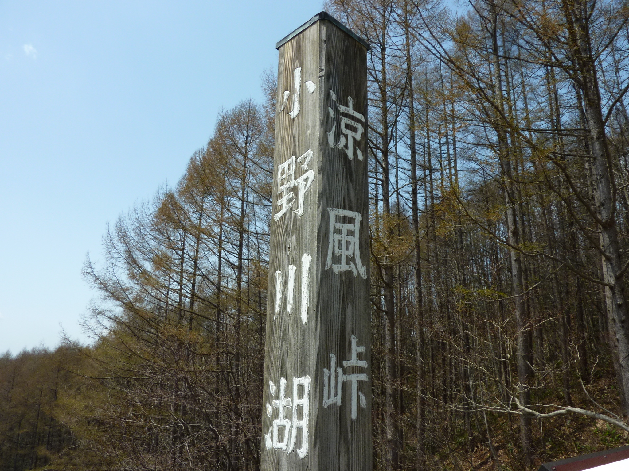 P1130486.JPG