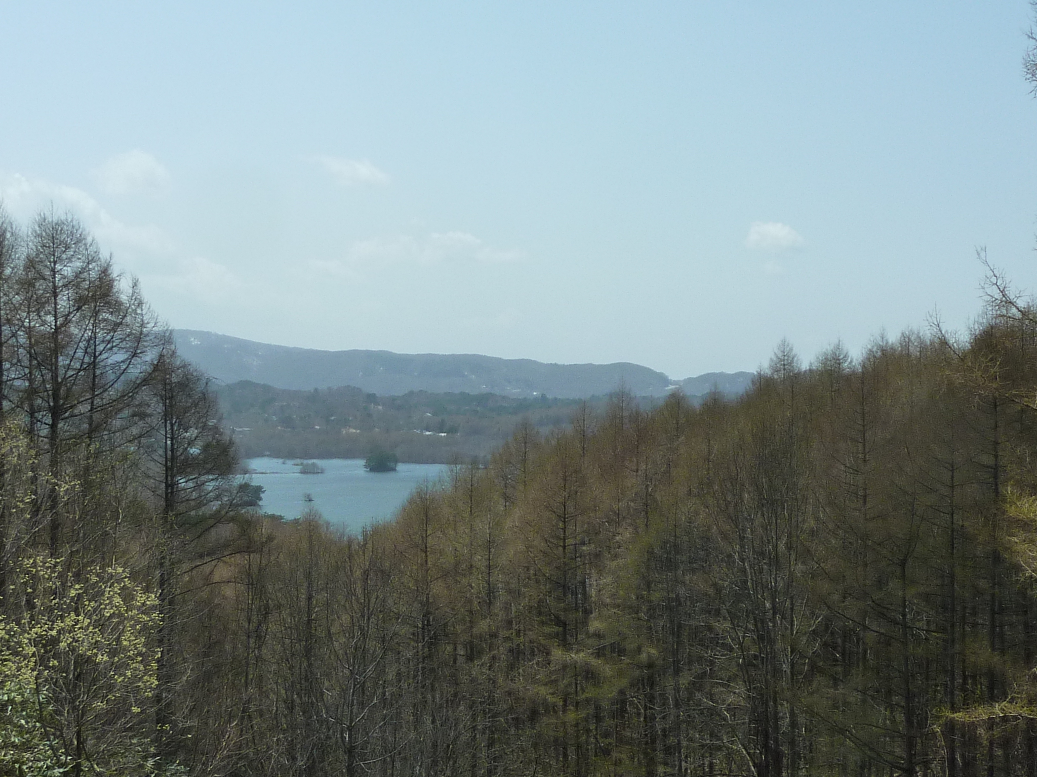 P1130487.JPG