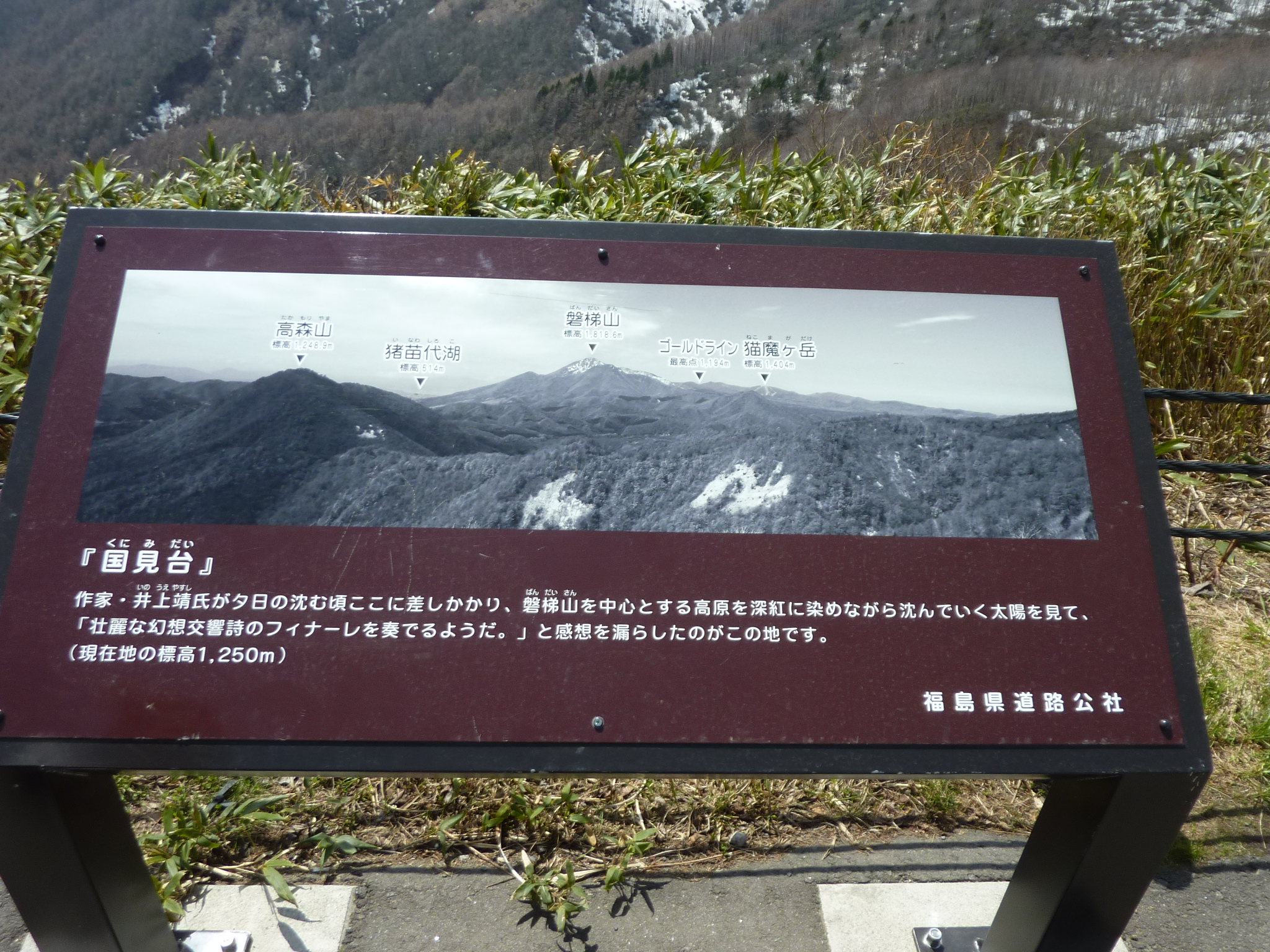 P1130503.JPG