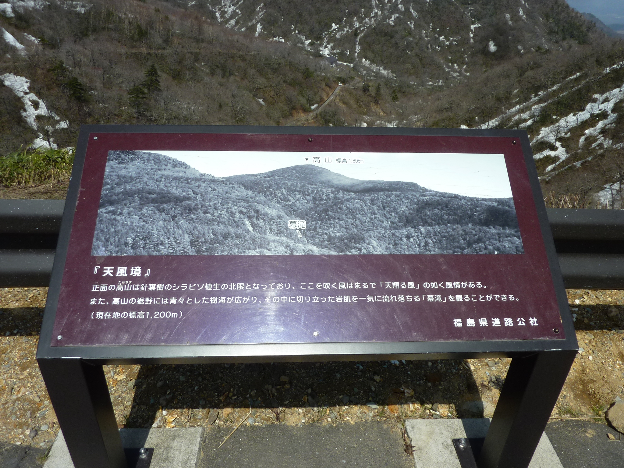 P1130507.JPG