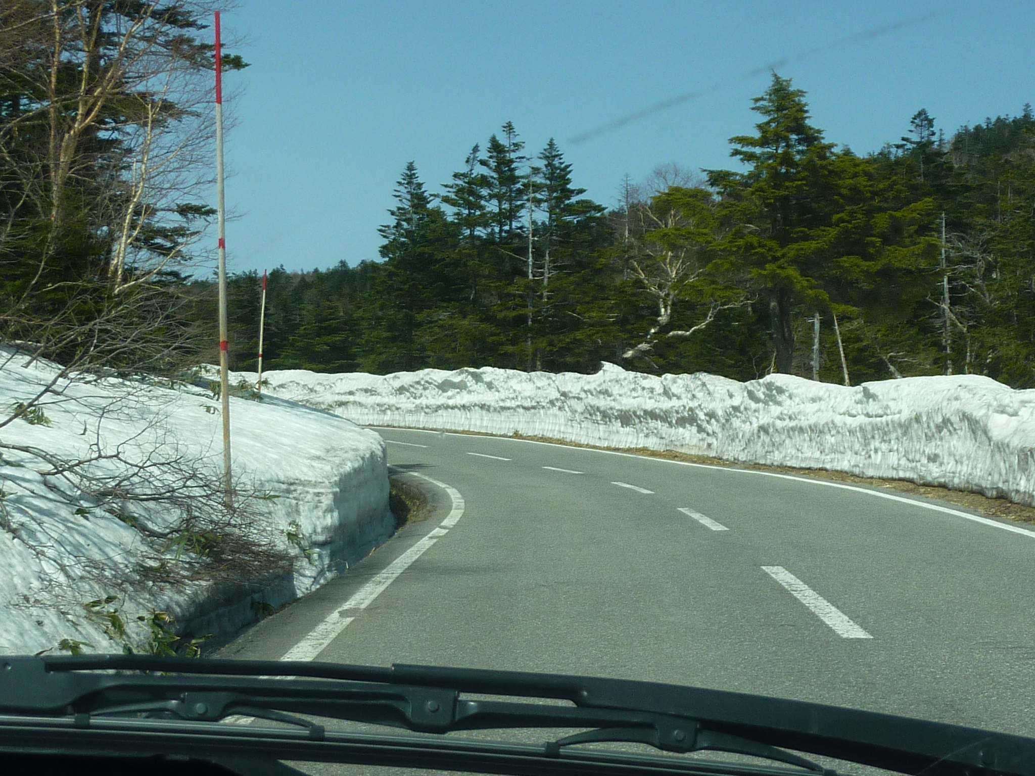 P1130520.JPG
