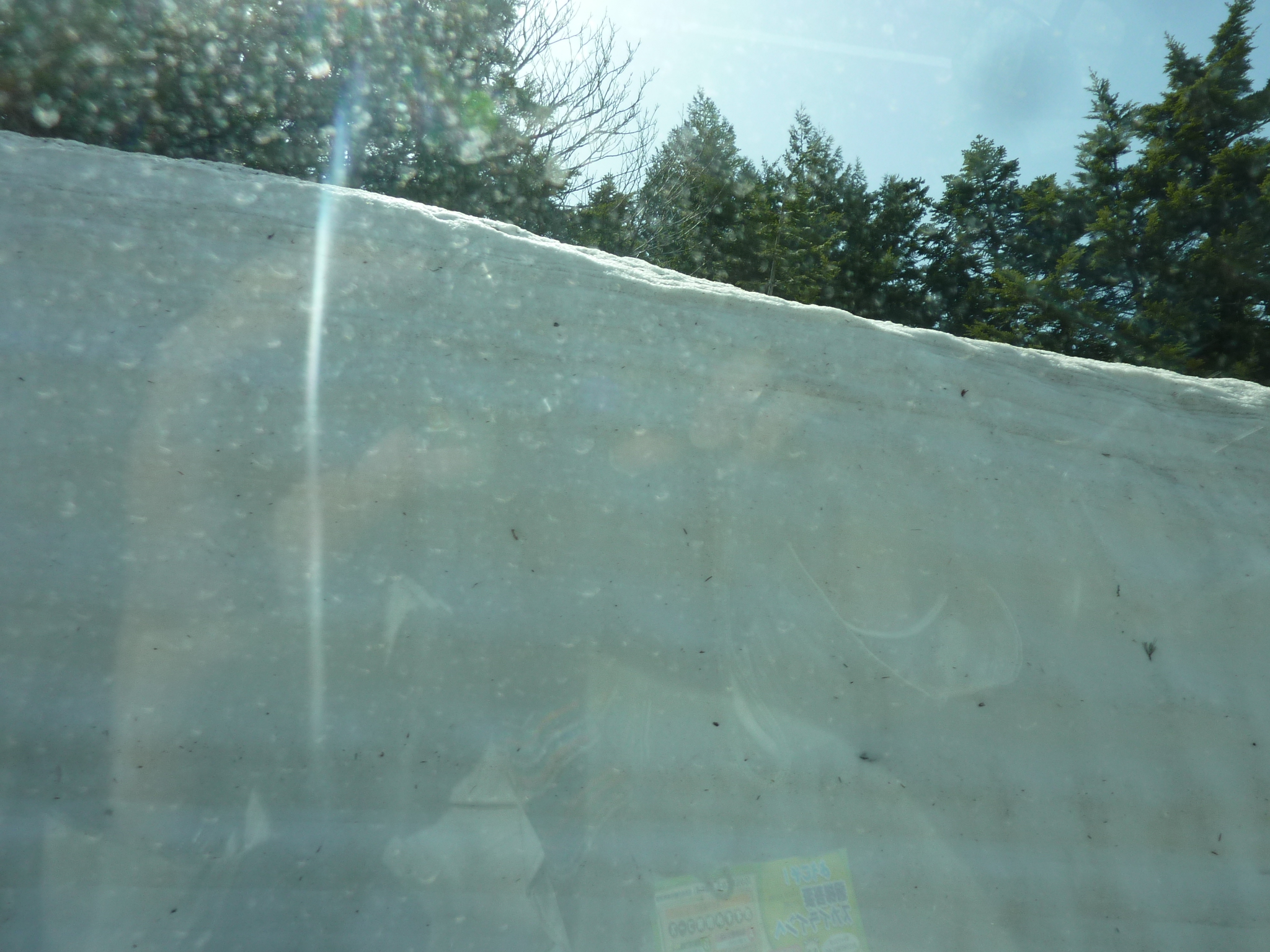 P1130534.JPG
