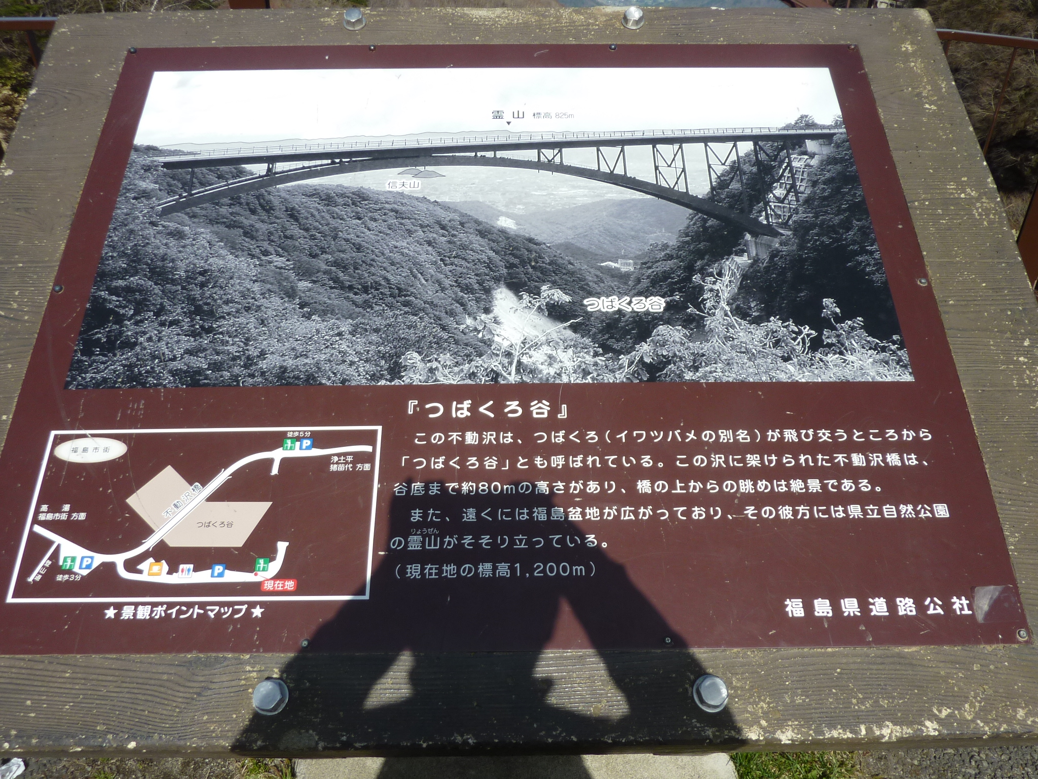 P1130562.JPG