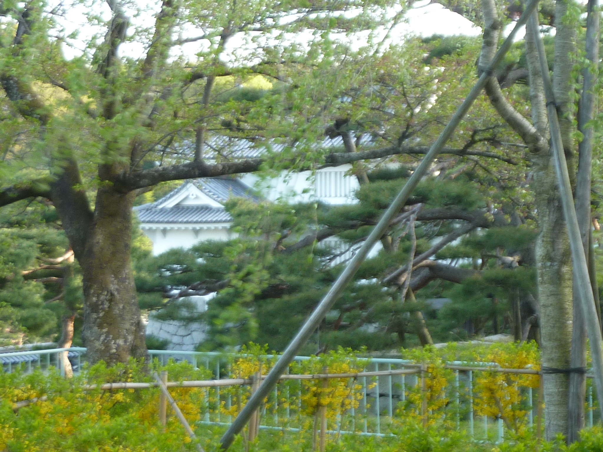 P1130586.JPG