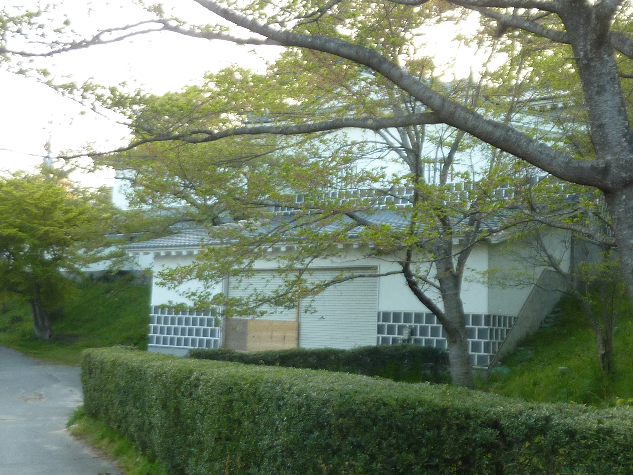 P1130587.JPG