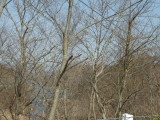 img0019.jpg