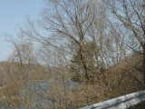 img0020.jpg