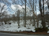 img0041.jpg