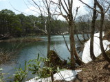 img0047.jpg