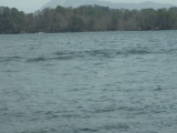 img0075.jpg