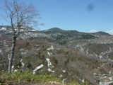 img0118.jpg