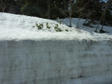img0137.jpg