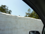 img0141.jpg