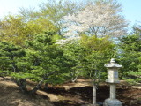 img0179.jpg