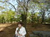 img0187.jpg