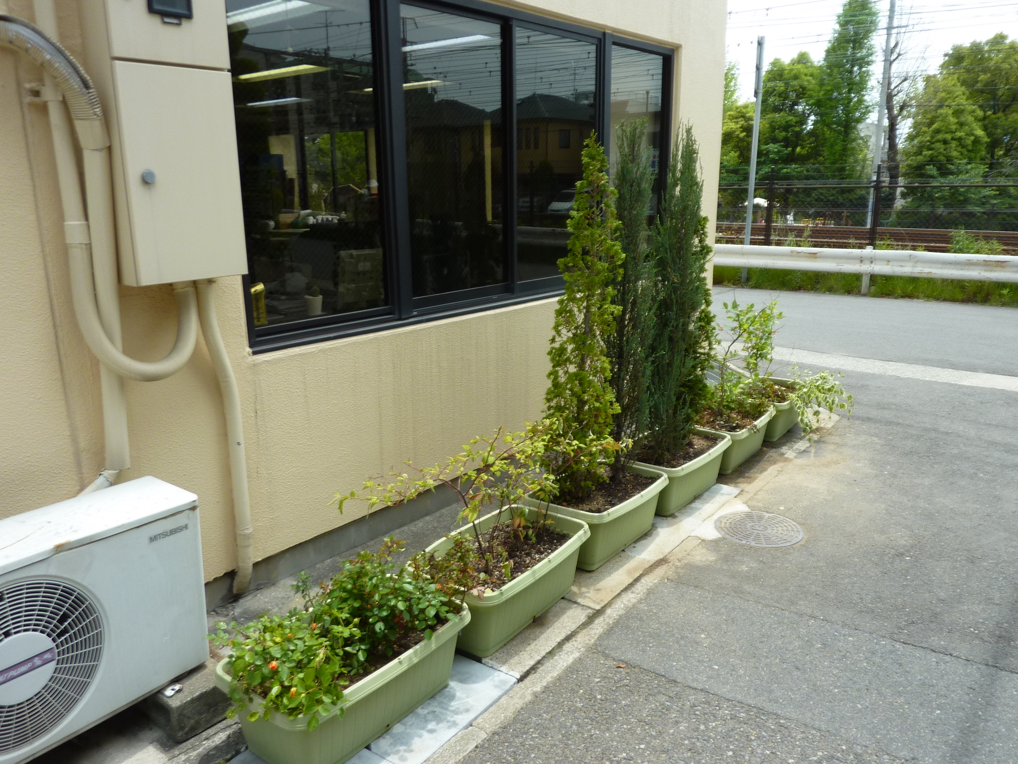P1130622.JPG