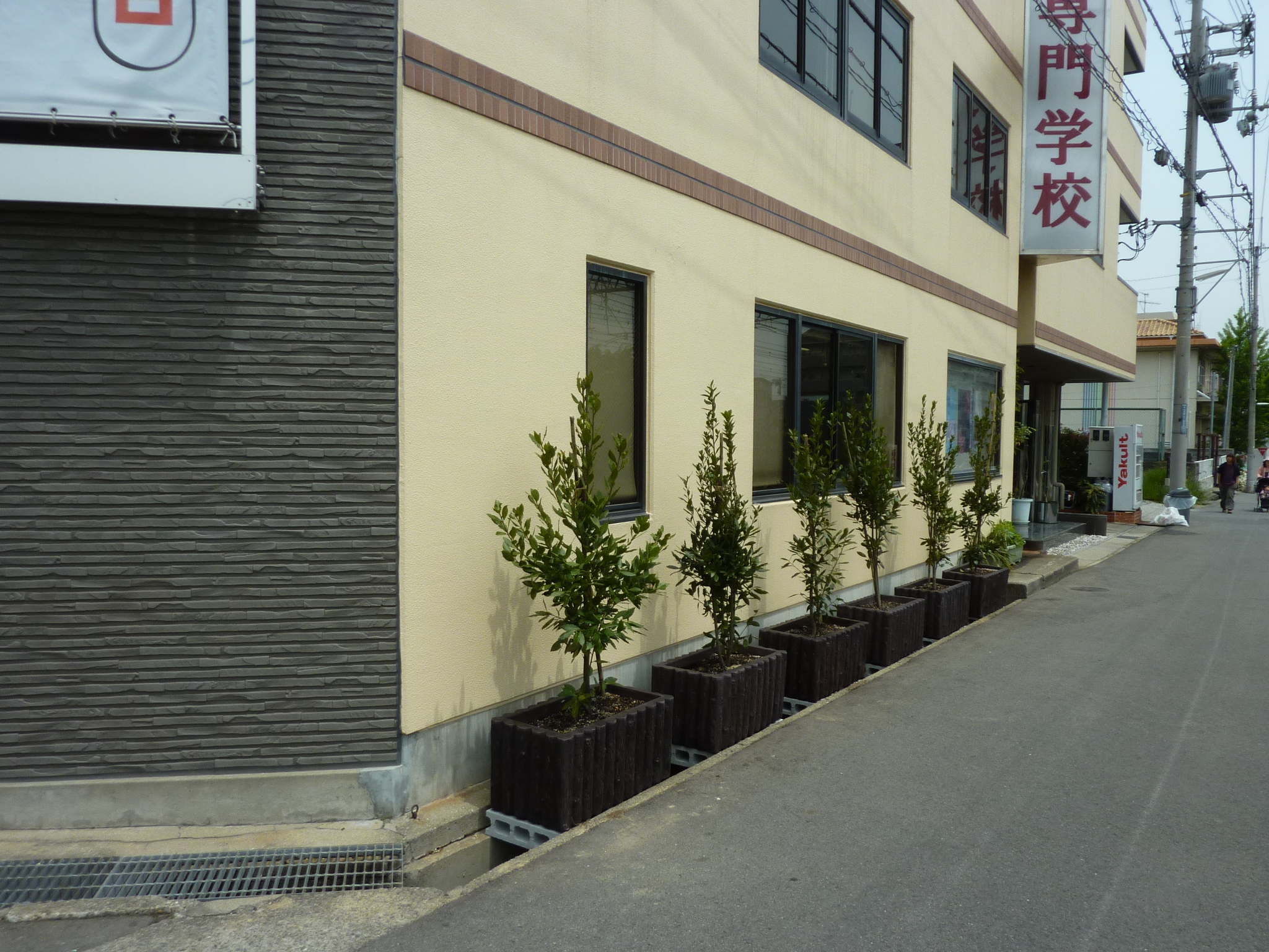 P1130624.JPG