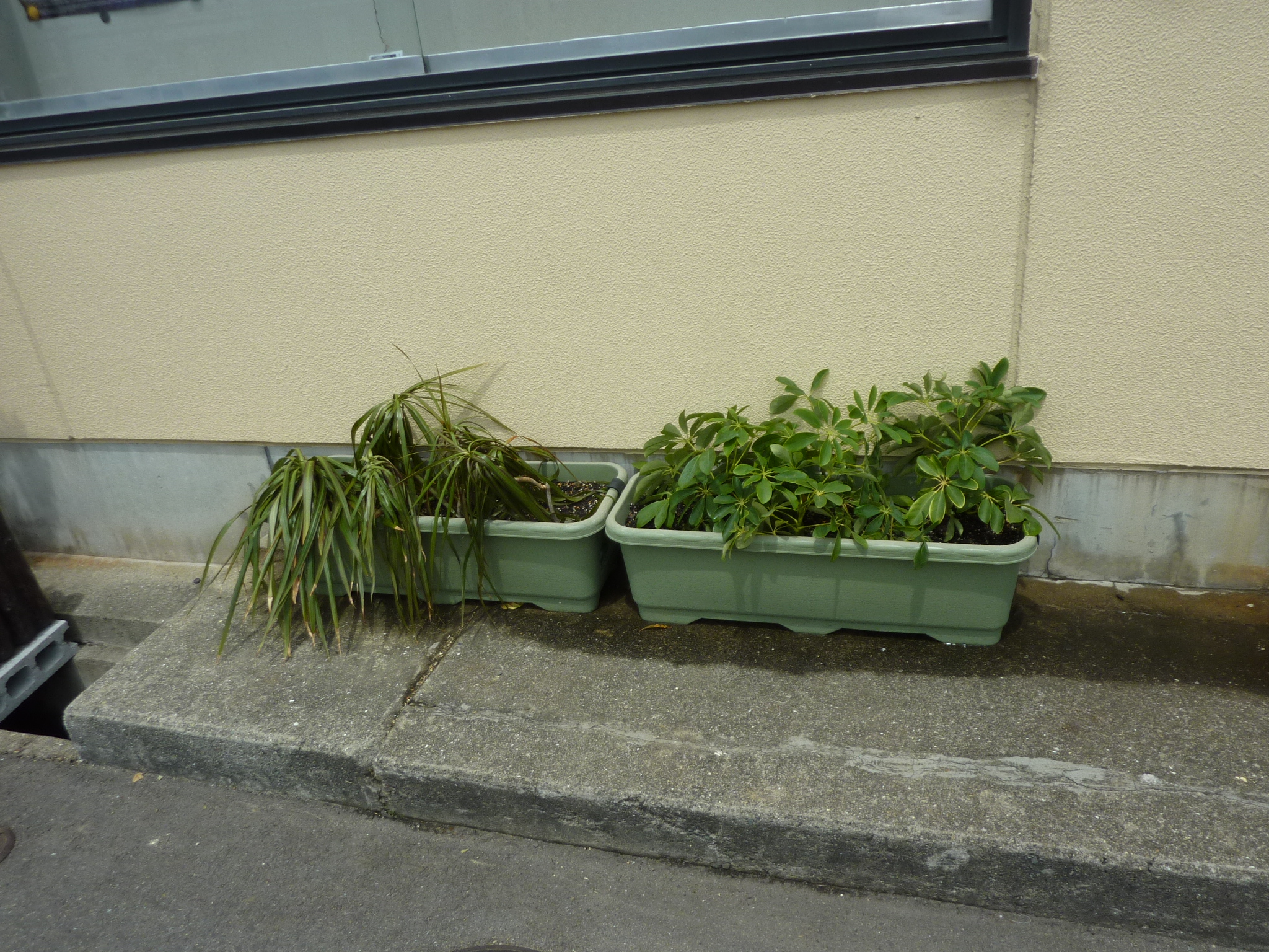 P1130626.JPG