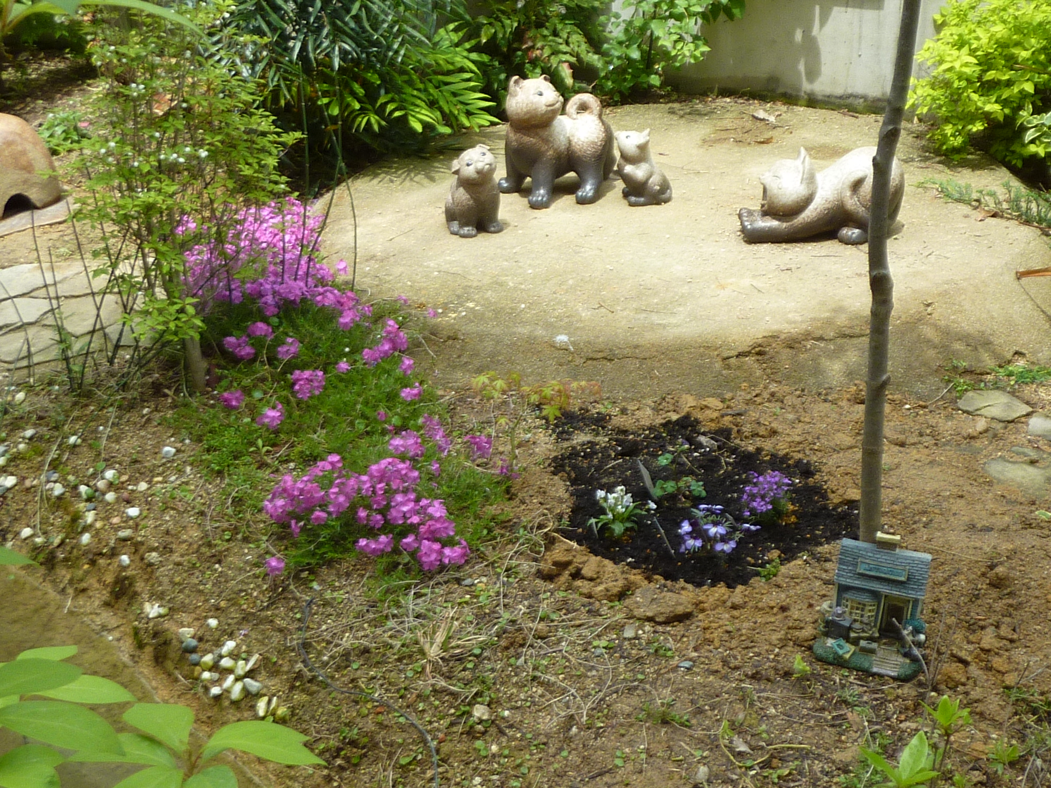 P1130635.JPG